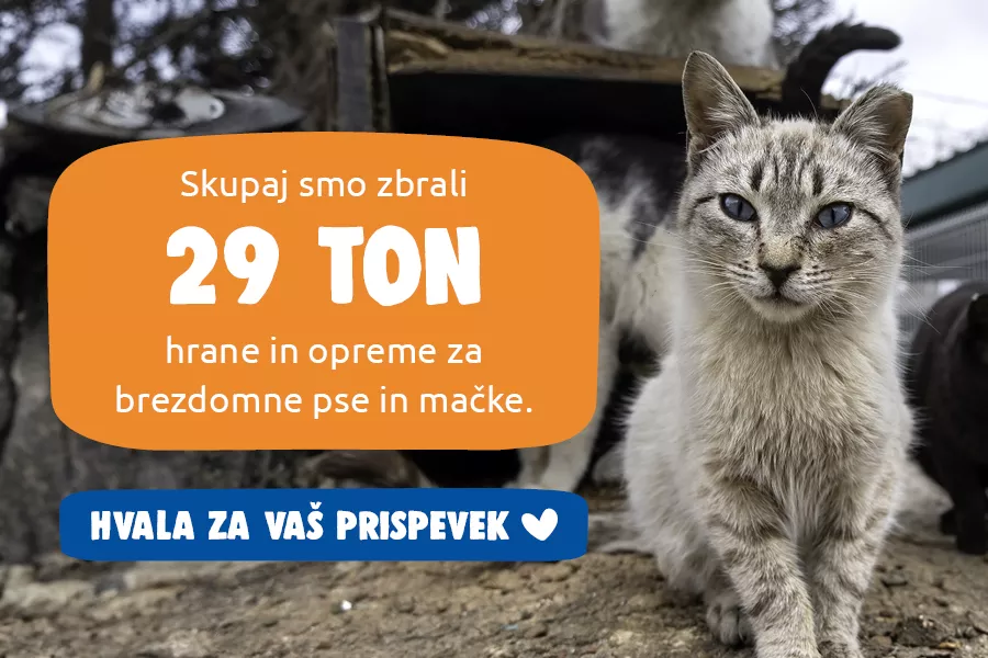 20 ton zbrane hrane in opreme